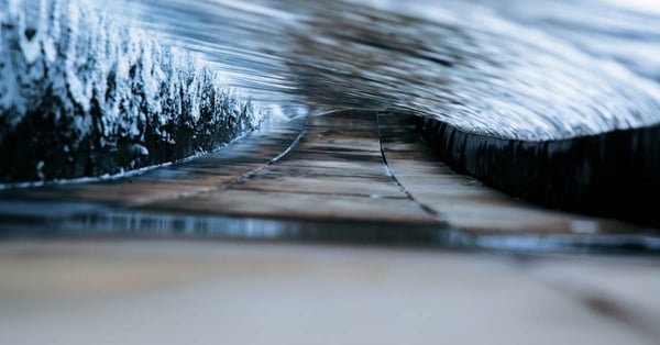 La peste del linguaggio e gli umani 4.0