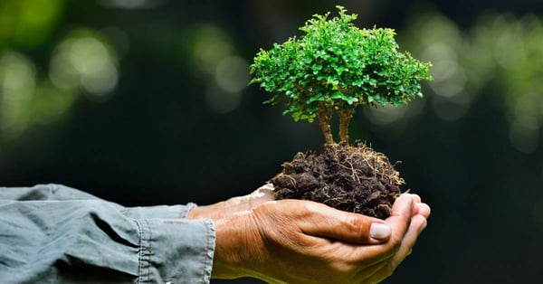 La voce della natura chiama gli economisti alla responsabilità